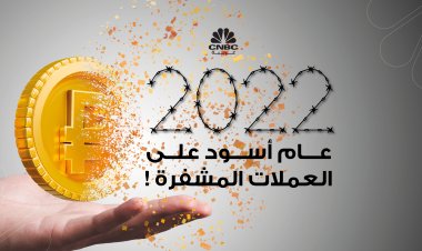 2022.. عام أسود على العملات المشفرة !