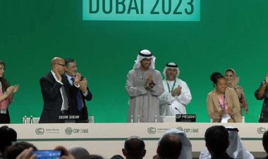 إنجازات COP28 التاريخية تساهم في رفع سقف الطموح خلال COP29