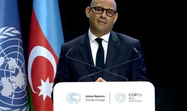 الأمم المتحدة تثني على جهود الإمارات خلال رئاستها COP28