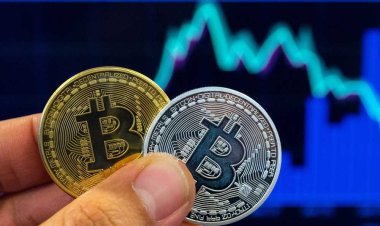 سعر البتكوين يتخطى 97 ألف دولار للمرة الأولى