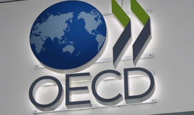 OECD تحذر من مخاطر الحماية التجارية على النمو العالمي