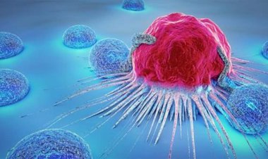 اختراق طبي.. أول إنتاج صناعي لمركب فطري واعد ضد السرطان