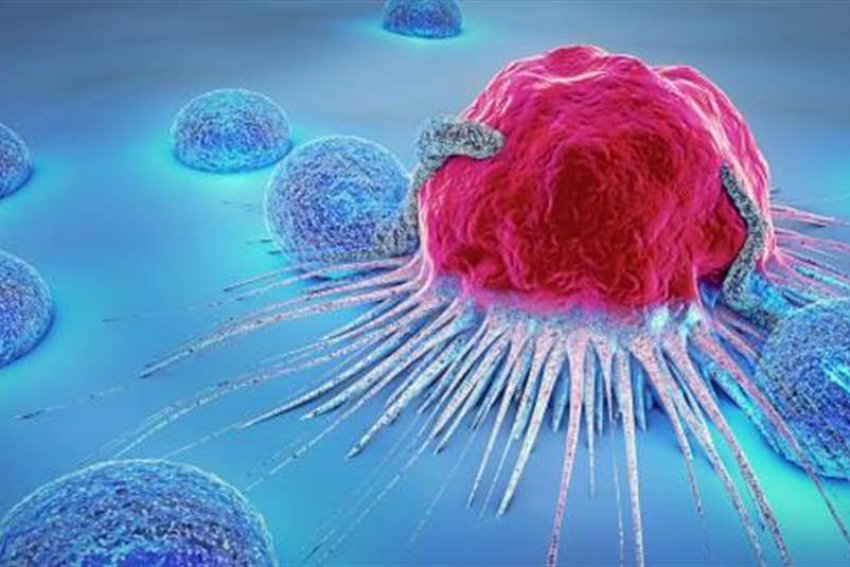 اختراق طبي.. أول إنتاج صناعي لمركب فطري واعد ضد السرطان