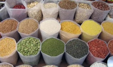 العراق يتصدر قائمة مستوردي الحبوب والبقوليات من تركيا