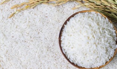 العراق ضمن العشرة الكبار الأكثر استيراداً للرز الأمريكي