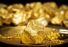 المجلس العالمي للذهب يتوقع ارتفاع المعدن النفيس الى 5% خلال هذا العام