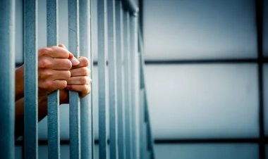 السجن 6 سنوات بحق مسؤول التوطين في تنفيذ البياع لاستيلائه على أموال الدائنين