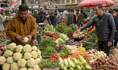 كيف تؤثر الرسوم الجمركية على أسعار الغذاء حول العالم؟