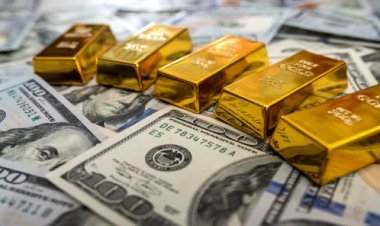 الذهب يتجاوز 4900 دولار لأول مرة تاريخياً وسط قفزة قياسية للفضة والبلاتين