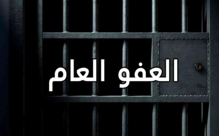 آخر إحصائية.. القضاء يعلن عدد المفرج عنهم بقانون العفو العام