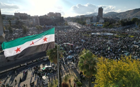 هولندا: الوضع الأمني في سوريا متقلّب وغير مستقر