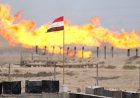 تراجع حاد لأسعار خام البصرة مقابل الصعود العالمي للنفط