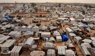 8 دول عربية وإسلامية ترحب بدعوة ترمب والانضمام إلى "مجلس السلام"