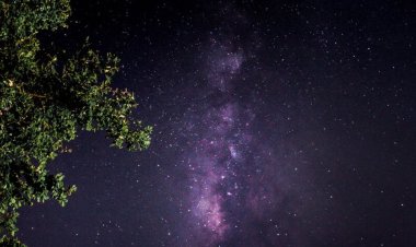 ظاهرة فريدة في السماء نهاية شباط