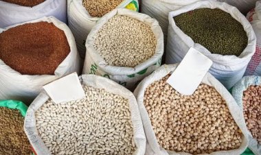 العراق الأول باستيراد الحبوب والبقوليات من تركيا خلال شهر