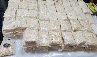 احباط محاولة تهريب 44 الف حبه مخدرة عبر بالونات هوائية في الأنبار