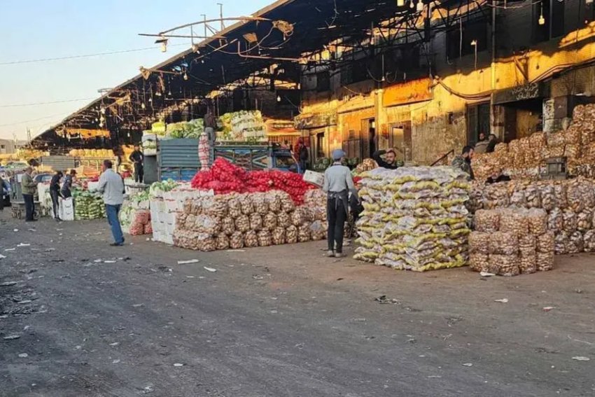 الزراعة العراقية تعلن حظر دخول 16 محصولاً إلى البلاد