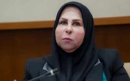 عالية نصيف: الدستور لا ينص على عقوبة لتجاوز السقوف وأيام العطل لا تحتسب ضمن مدة الـ30 يوماً