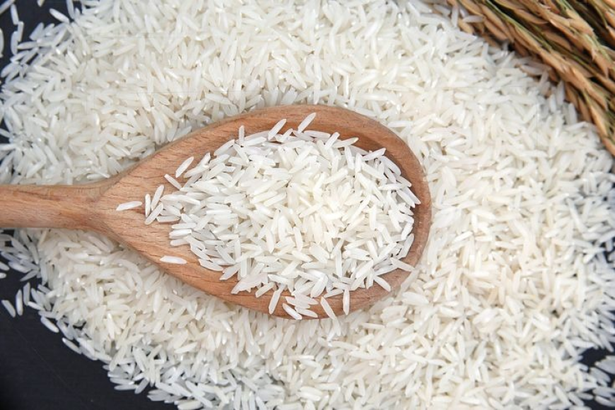 العراق الأول عالميا باستيراد الرز التايلاندي