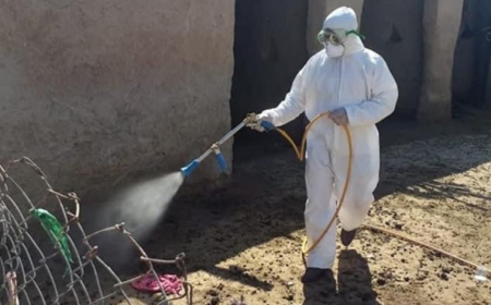إصابة جديدة بالحمى النزفية في الموصل