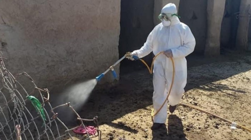 إصابة جديدة بالحمى النزفية في الموصل