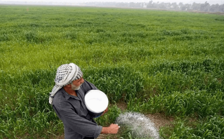 توسيع مساحة الخطة الزراعية الشتوية