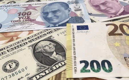 الليرة التركية تسجل أدنى مستوى بتاريخيها