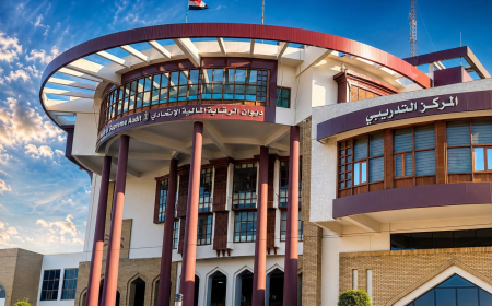 الرقابة المالية: آلية جديدة لتدقيق العقود قبل إبرامها