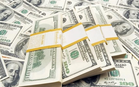 البنك المركزي يوضح أسباب رفع سعر صرف الدولار